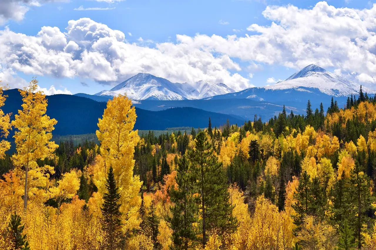 Colorado in the fall with mountains in the backdrop.